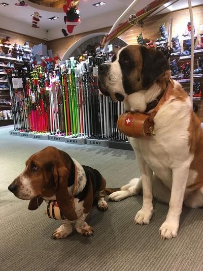 xL et small pellissier sports smaoens