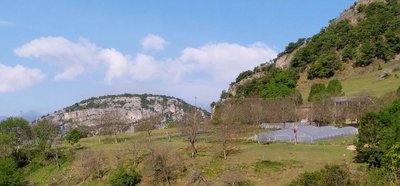Maraichage de montagne sur Sol Vivant