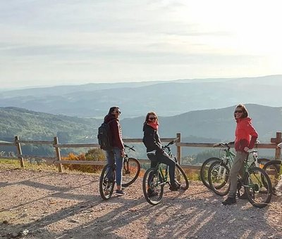 Location VTT - Chalet des Gentianes