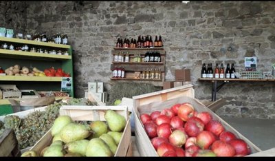 Fruits & légumes