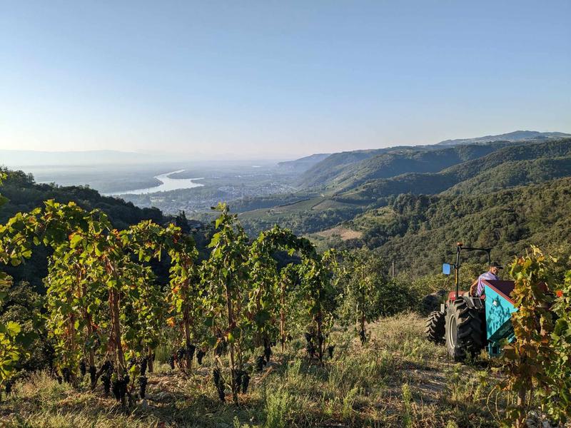 La vue depuis les parcelles de vigne