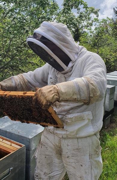 Les ruches de Max_Laussonne