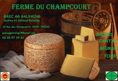 CARTE VISITE
