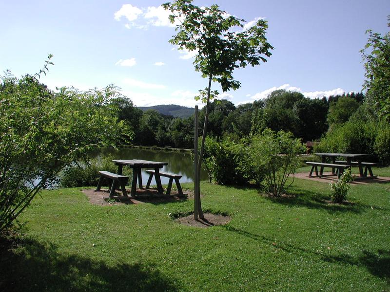 Aire de pique-nique du plan d'eau d'Azole_Propières