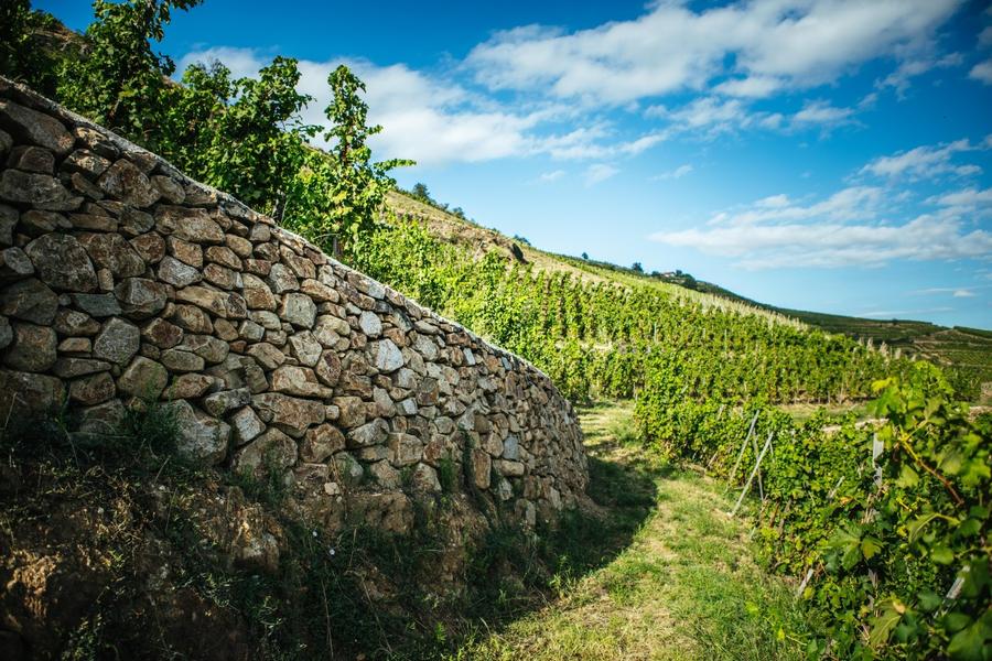 Domaine Pierre-Jean Villa_Chavanay