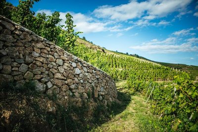 Domaine Pierre-Jean Villa_Chavanay
