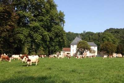 En pleine nature, bordé par les prés et la forêt