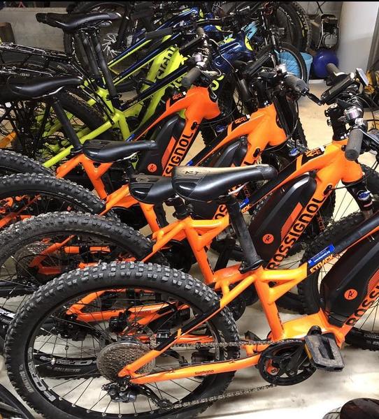 Tendency Bike_Champis