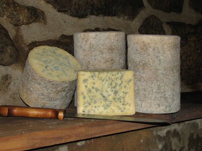 Fourme d'Ambert