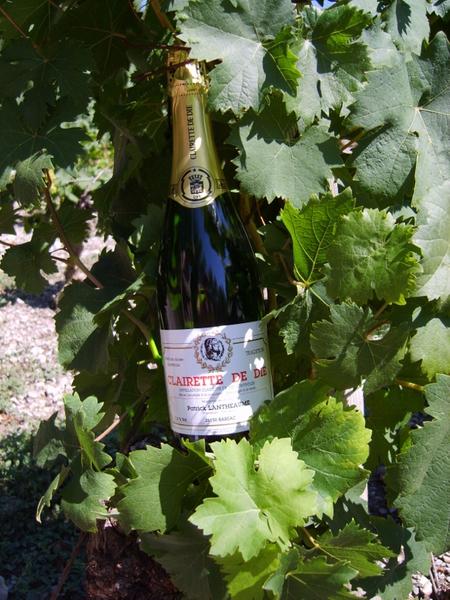 Clairette Lantheaume