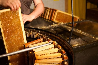 La Cité de l'Abeille