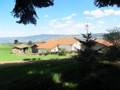 Au Bouton-d'Or_Malvières_2019