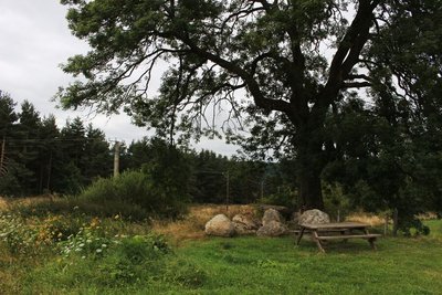 Vers le sentier du marais