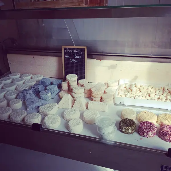 Chèvrerie des p'tits Lou_Bas-en-Basset