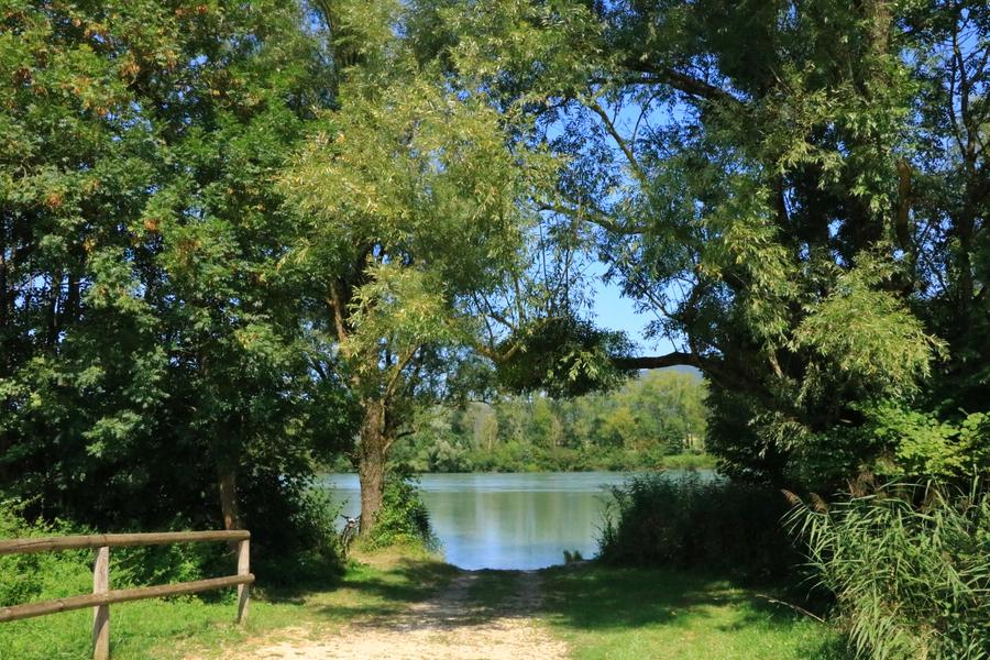 Aire de pique-nique au bord du Rhône
