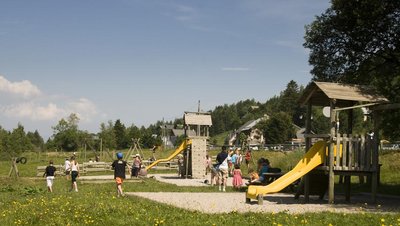toboggan