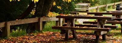 Table de pique nique