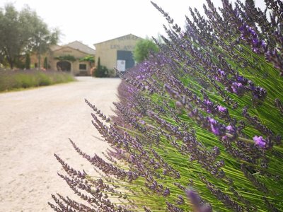 Domaine Les Asseyras_Tulette