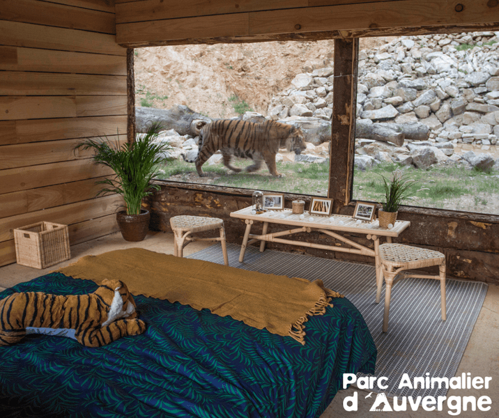 Tête dans les Étoiles_Ardes