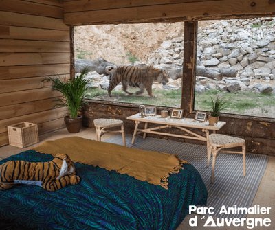 Tête dans les Étoiles_Ardes