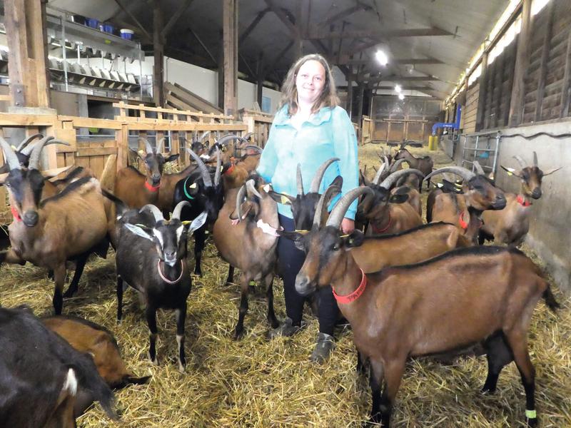 Les Biquettes de Sembadel_Sembadel