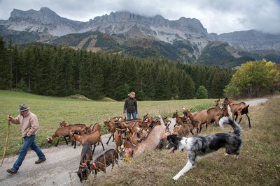 La Ferme du Grand-Veymont
