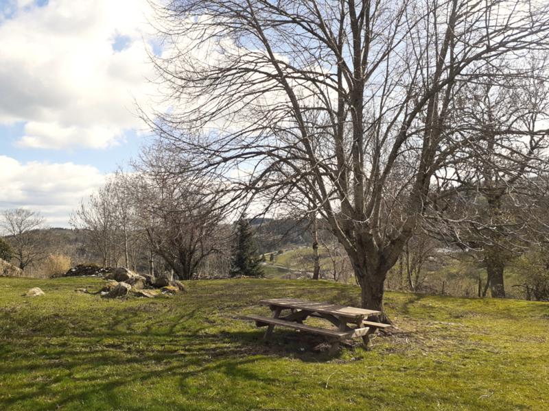 Aire de pique-nique des Poizats_Verrières-en-Forez