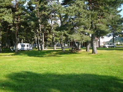 Camping de mon Village d'Allègre, La Pinède