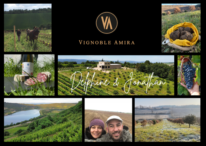 VIGNOBLE AMIRA