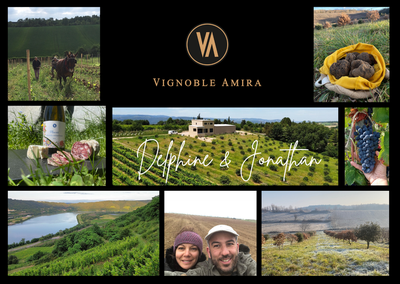 VIGNOBLE AMIRA