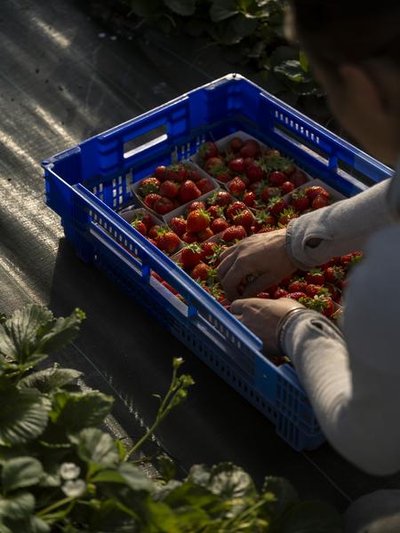 Ferme "Loin des macadams"_Arcinges