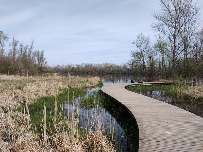 Aire de pique-nique Gravière aux oiseaux_Mably
