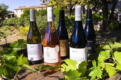 Vins-du-domaine