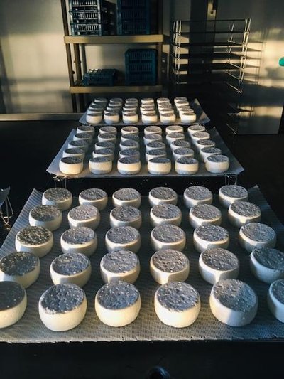 Fromages de chèvres