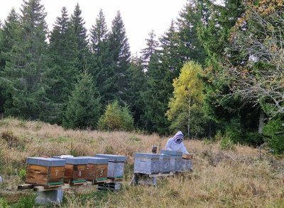 Miel et merveilles du Cantal_Valuéjols