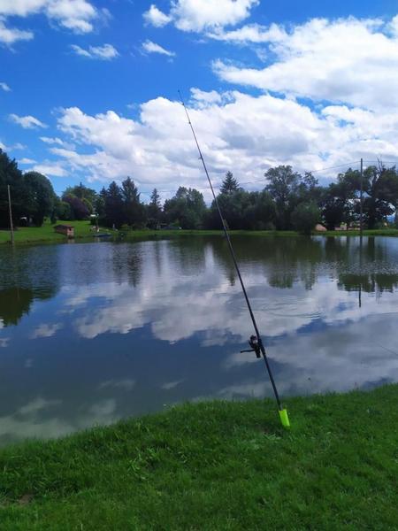 Camping 'Au Coeur des Monts', commune des Halles (Rhône -Ouest Lyonnais) : étang de pêche sur place