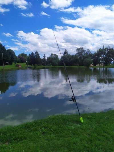 Camping 'Au Coeur des Monts', commune des Halles (Rhône -Ouest Lyonnais) : étang de pêche sur place