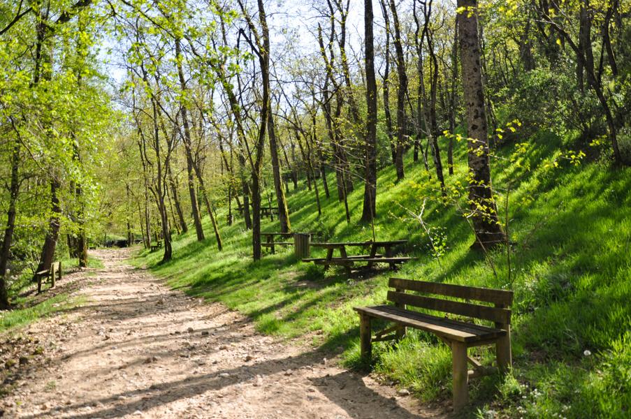 Aire de Pique-Nique - Site des Morfins_Colombier-le-Jeune