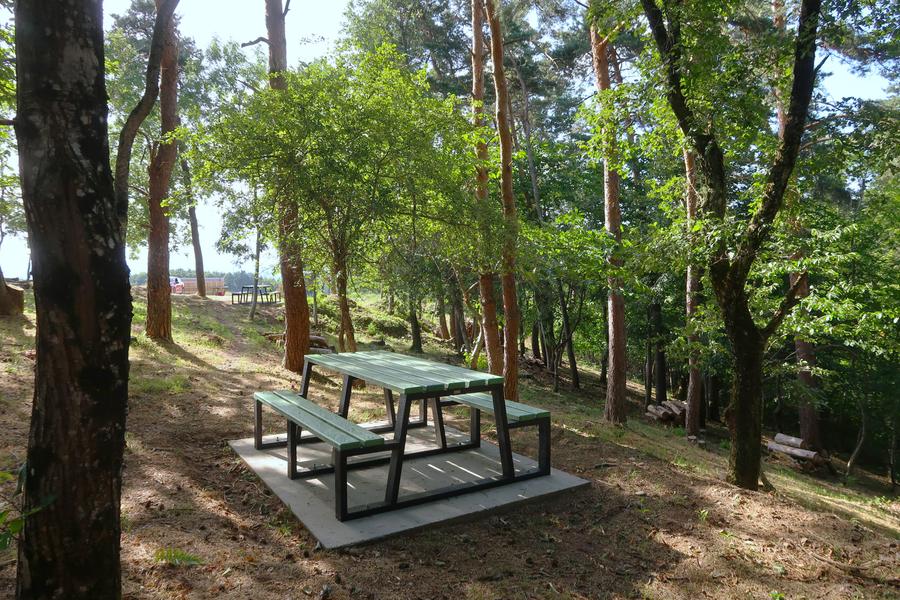 Aire de pique-nique de Roissac sur la route du Col de la Mûre à Saint-Julien-le-Roux