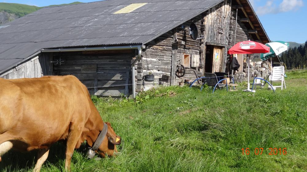 Chalet du Cuvy