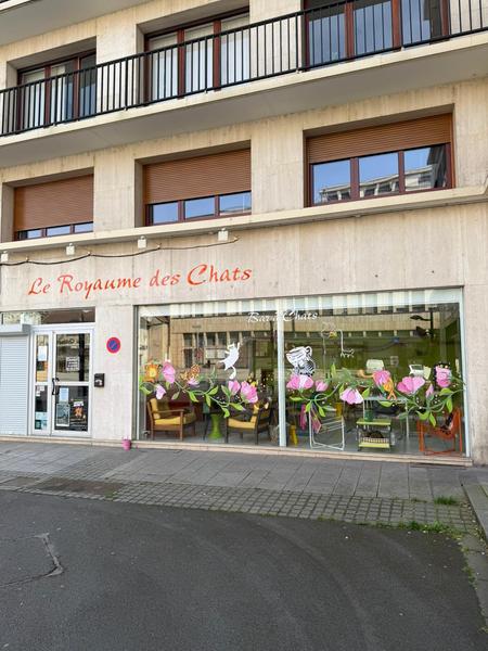 Bar à chats : Le Royaume des Chats_Montluçon