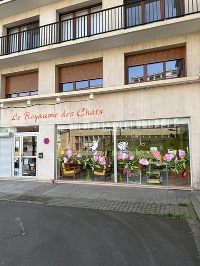 Bar à chats : Le Royaume des Chats_Montluçon
