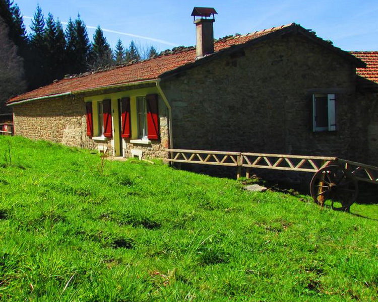 Les paddocks