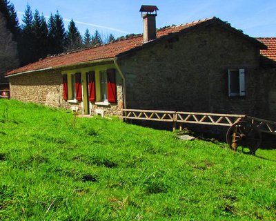 Les paddocks