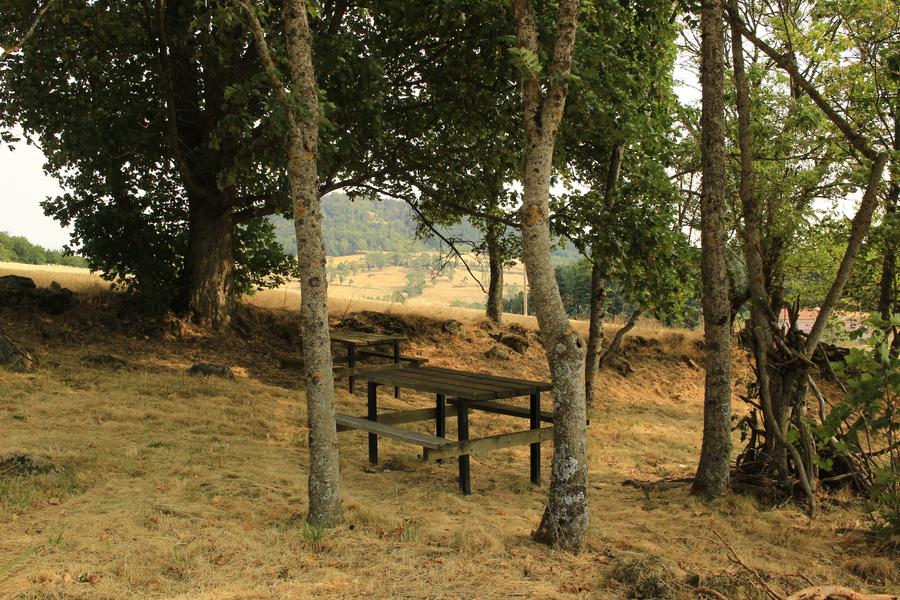 Aire de pique nique_Lérigneux