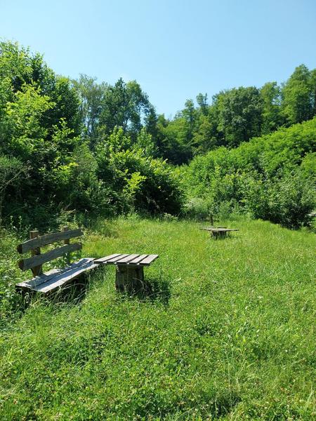 Aire de pique-nique du Relais Cyné
