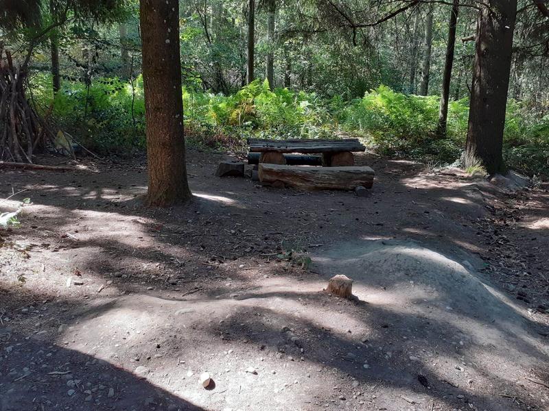 Aire de pique-nique de la Forêt de Vallin