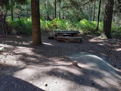 Aire de pique-nique de la Forêt de Vallin