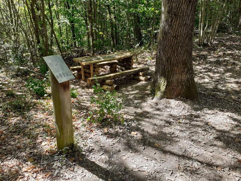 Aire de pique-nique de la Forêt de Vallin 2