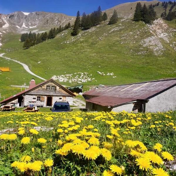Chalet Trépertuis